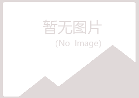 兰山区喧哗能源有限公司